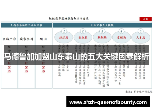 马德鲁加加盟山东泰山的五大关键因素解析