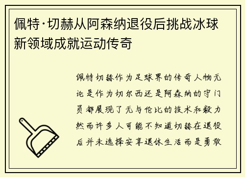 佩特·切赫从阿森纳退役后挑战冰球新领域成就运动传奇